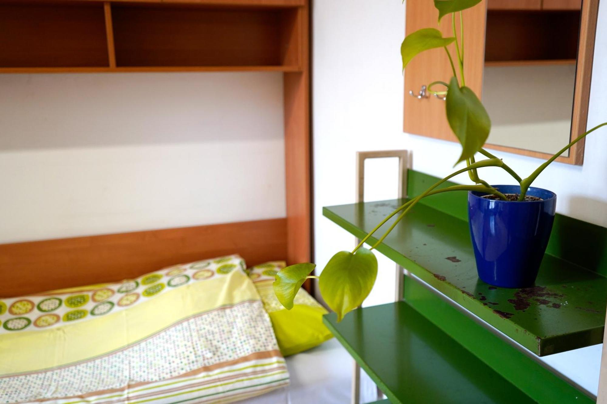 Dom Studencki Talizman Hostel - Wroclaw, Wroclaw