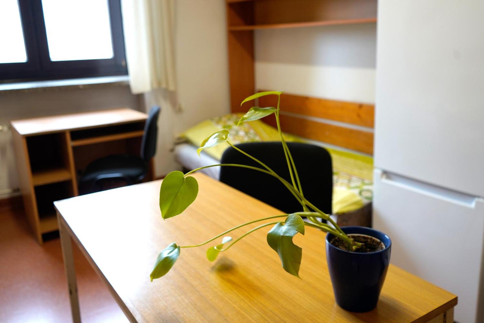 Dom Studencki Talizman Hostel - Wroclaw — Photos 2